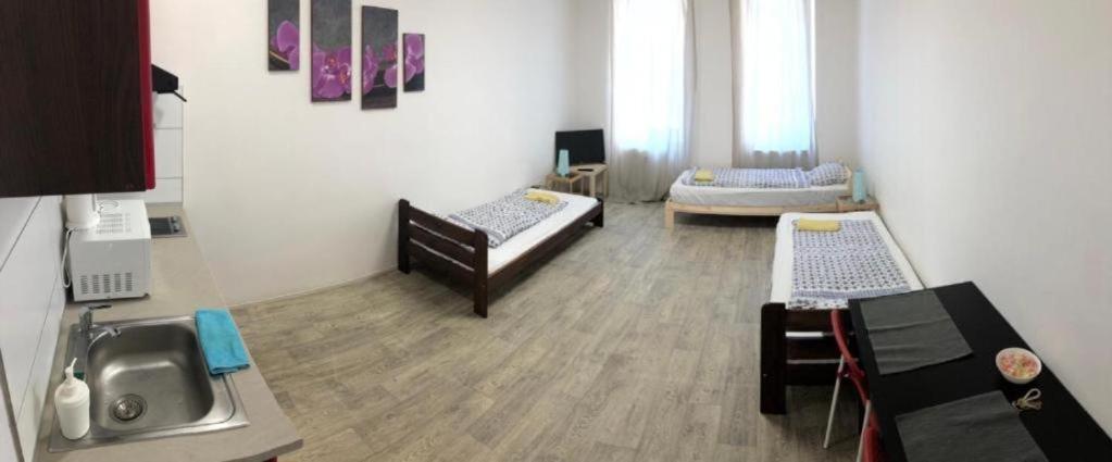 Apartments Near The Center With Privat Parking ブルノ エクステリア 写真