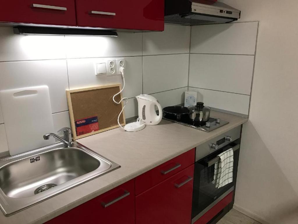 Apartments Near The Center With Privat Parking ブルノ エクステリア 写真