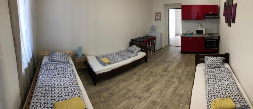 Apartments Near The Center With Privat Parking ブルノ エクステリア 写真