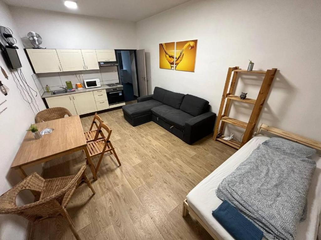 Apartments Near The Center With Privat Parking ブルノ エクステリア 写真