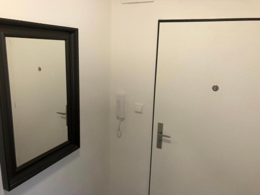 Apartments Near The Center With Privat Parking ブルノ エクステリア 写真